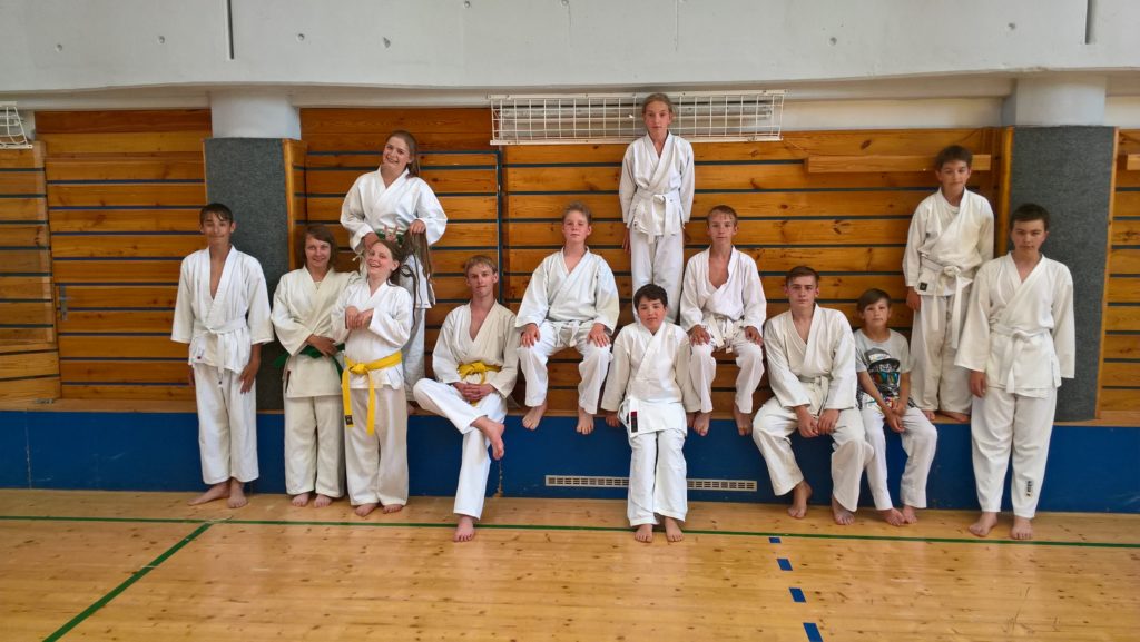 Závěrečná fotografie členů oddílu Karate DOMINO Velké Poříčí - 14. června 2017